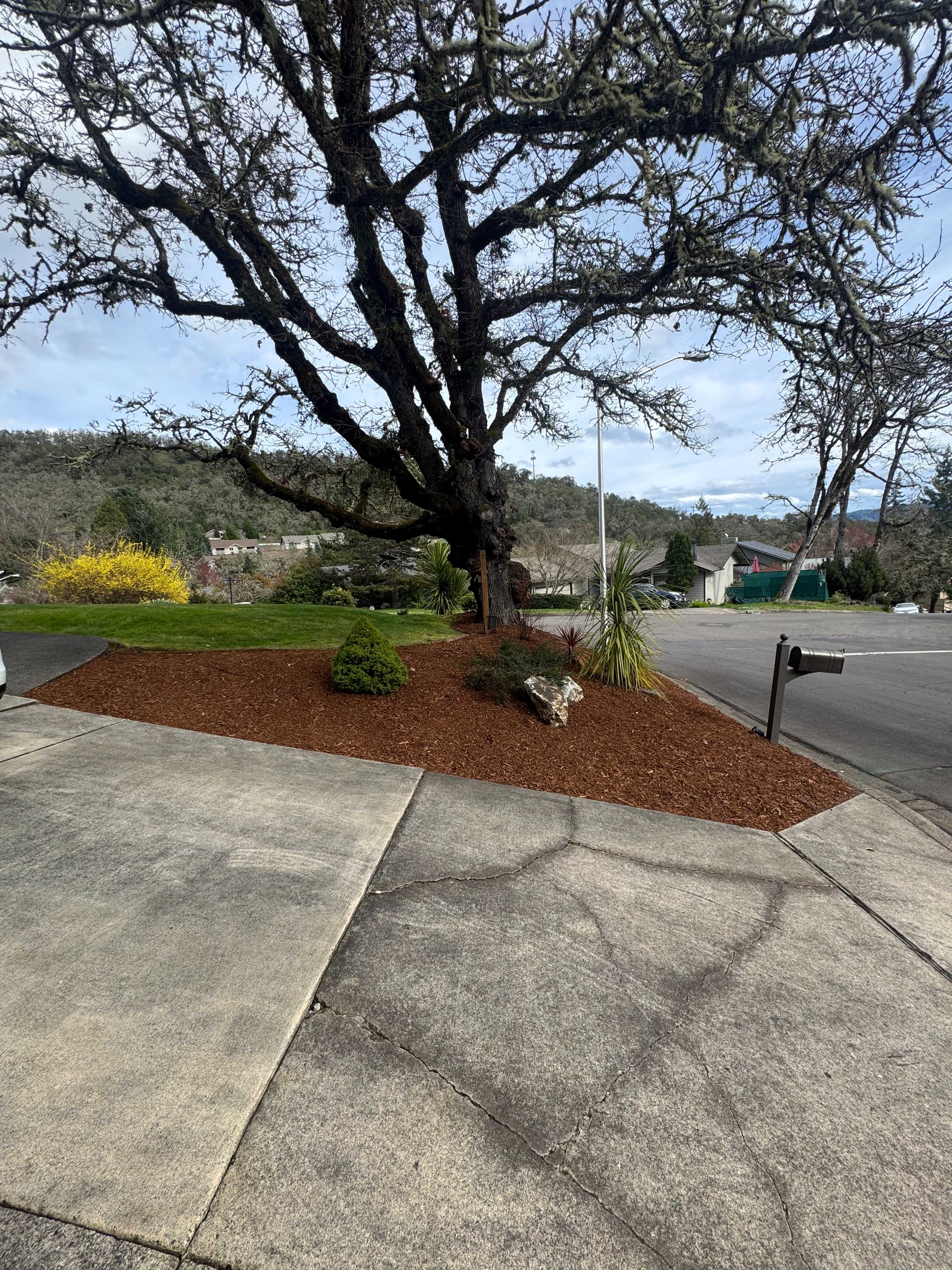 Backyard lawn care and maintenance service in Roseburg Oregon