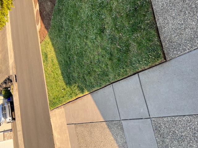 Fall leaf cleanup and debris removal in Douglas County Oregon